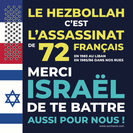 "LE HEZBOLLAH, C’EST L’ASSASSINAT DE 58 FRANÇAIS EN 1983 AU LIBAN ET 14 EN 1885 ET 1986 DANS NOS RUES ! Merci Israël"- Lot de stickers