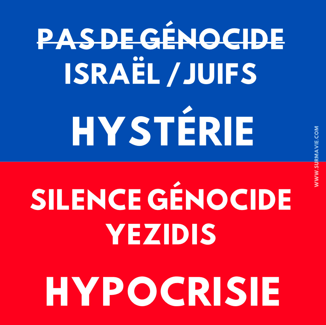 Pas de génocide Israël/Juifs hystérie - Silence Génocide Yézidis hypocrisie - Lot de stickers